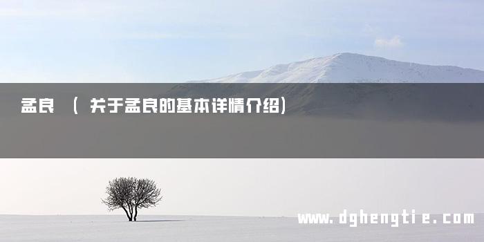 孟良 (关于孟良的基本详情介绍)